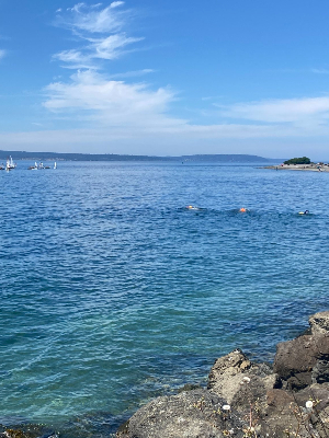 Swimmers at Golden Gardens - Seattle, WA